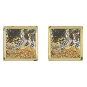 Biology Of A Baby Bearded Dragon Lizard, Cufflinks