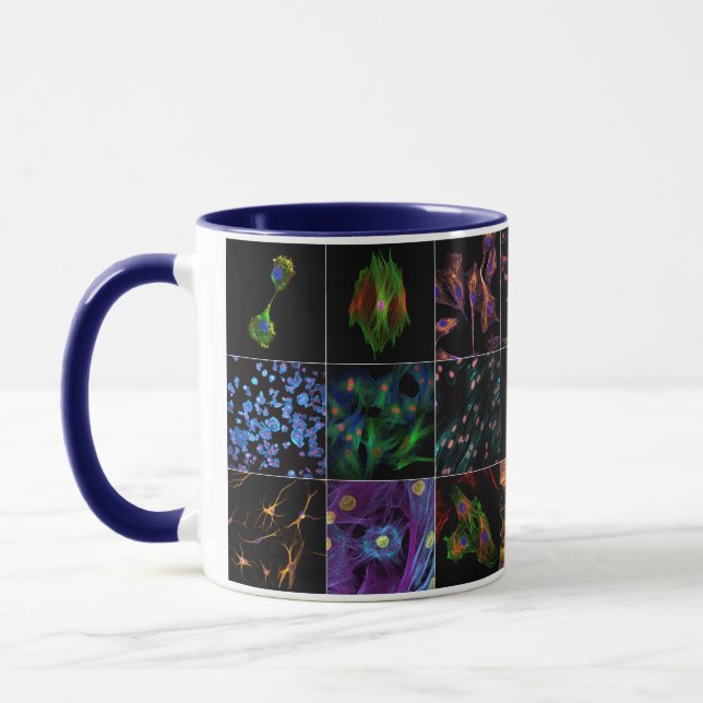 Biology on Mug (Left)