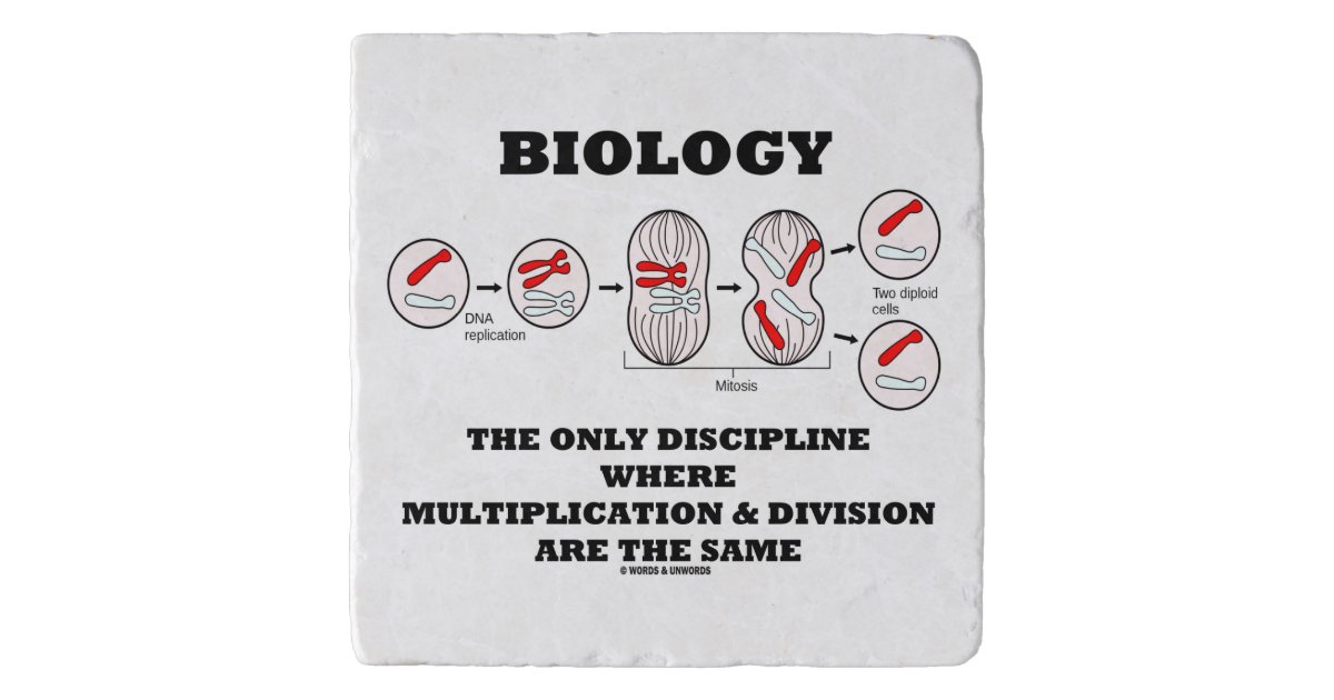 Biology Only Discipline Multiplication Division Trivet | Zazzle