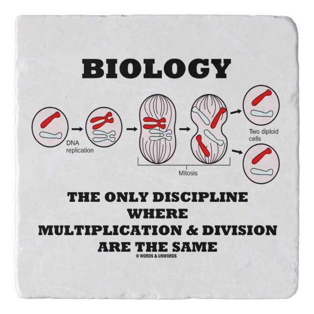 Biology Only Discipline Multiplication Division Trivet (Front)
