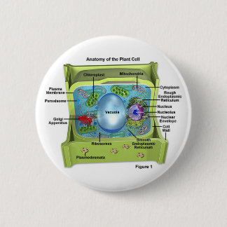 Biology Pinback Button