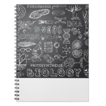 Biology Science Doodle in Gray Chalkboard