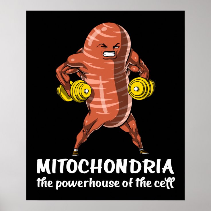 Biology Science Mitochondria Funny Joke Poster | Zazzle