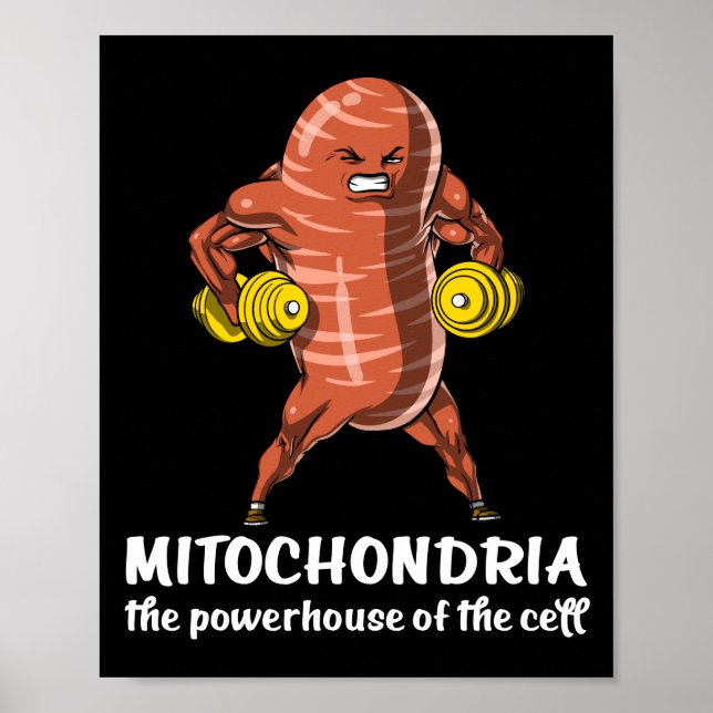 Biology Science Mitochondria Funny Joke Poster (Front)