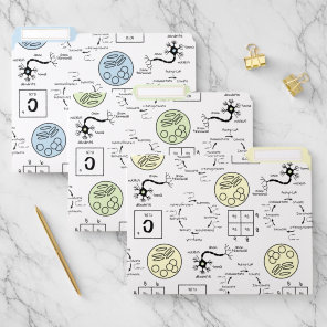 Biology Teacher Life Science School Cell Genetics File Folder