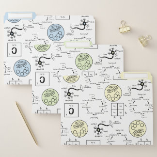 Biology Teacher Life Science School Cell Genetics File Folder