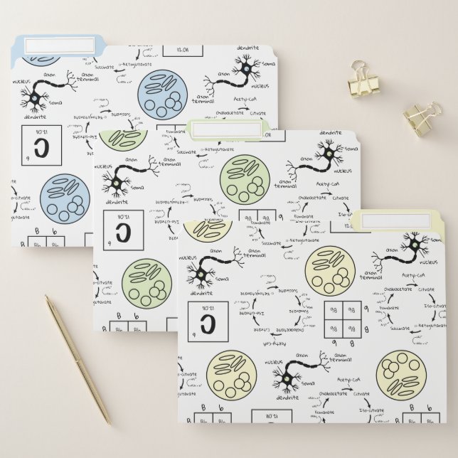 Biology Teacher Life Science School Cell Genetics  File Folder (Set)