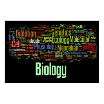 Biology Wordle No. 8 Black Poster Biology Wordle No. 8 Black Poster
