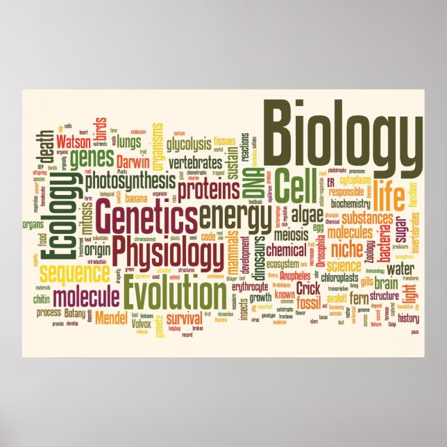 Biology Wordle No. 9 Poster (Front)