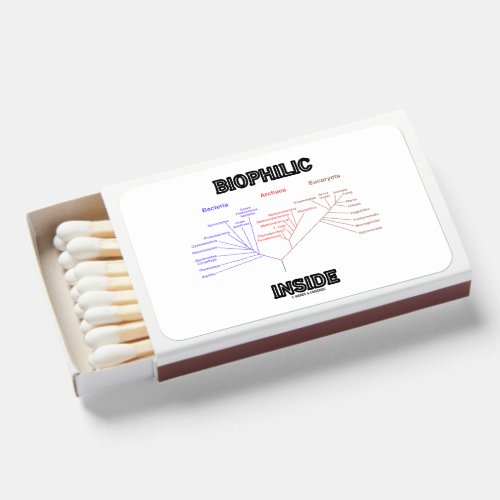 Biophilic Inside Phylogenetic Tree Of Life Biology Matchboxes