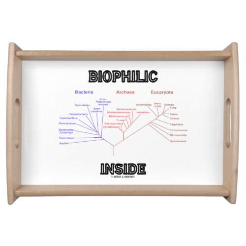 Biophilic Inside Phylogenetic Tree Of Life Biology Serving Tray