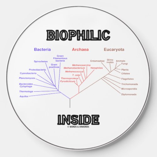 Biophilic Inside Phylogenetic Tree Of Life Biology Wireless Charger