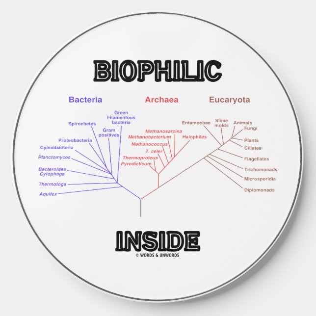 Biophilic Inside Phylogenetic Tree Of Life Biology Wireless Charger (Front)