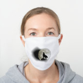 bioskin face masks reviews (Worn)