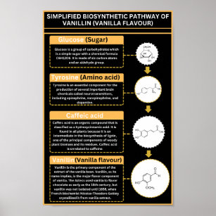 Biosynthetic pathway of vanillin (Vanilla flavour) Poster