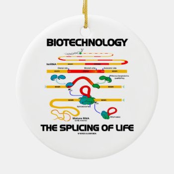 Biotechnology The Splicing Of Life (mature Rna) Ceramic Ornament by wordsunwords at Zazzle