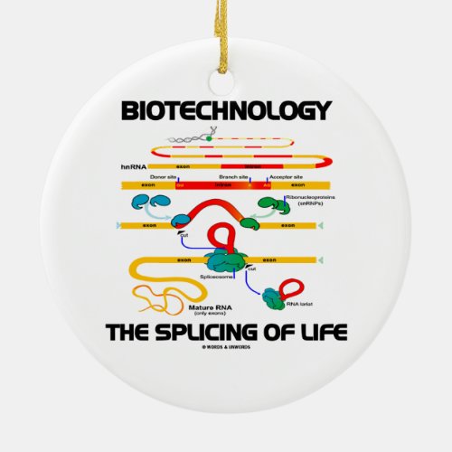 Biotechnology The Splicing Of Life Mature RNA Ceramic Ornament