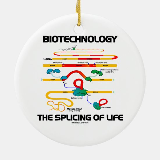 Biotechnology The Splicing Of Life (Mature RNA) Ceramic Ornament
