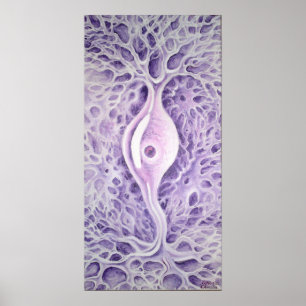 Bipolar neuron poster