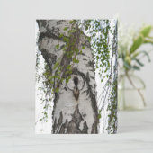 BIRCH (Standing Front)