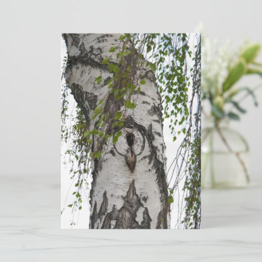 BIRCH (Standing Front)