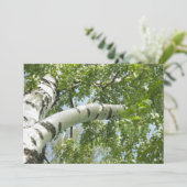 BIRCH (Standing Front)