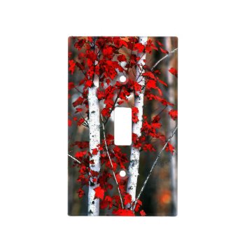 Birch#2 Light Switch Cover by rgkphoto at Zazzle