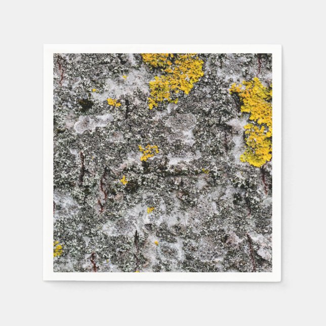 Birch and Lichen Paper Napkins (Front)