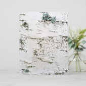 Birch bark (Standing Front)