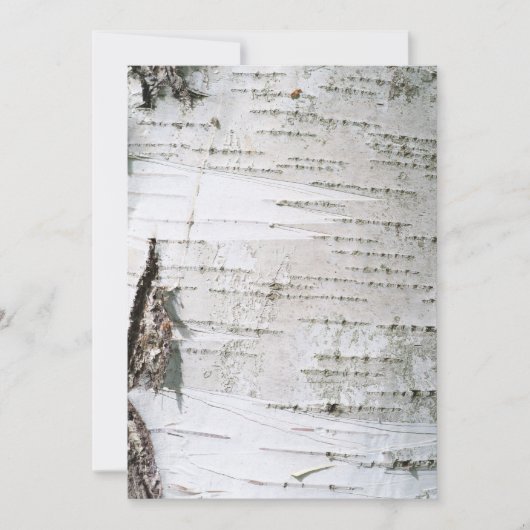 Birch bark (Front)