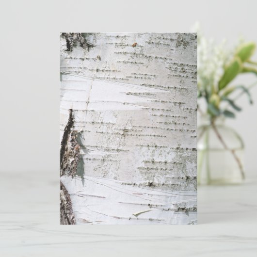 Birch bark (Standing Front)