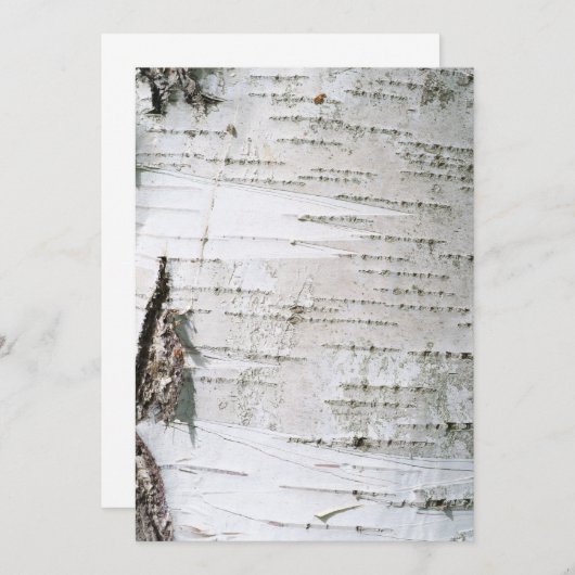 Birch bark (Front/Back)