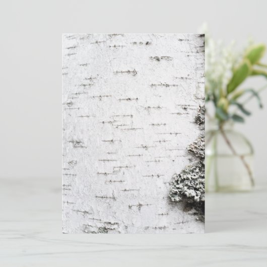 Birch bark (Standing Front)