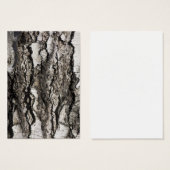 Birch bark (Front & Back)