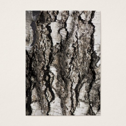 Birch bark (Front)