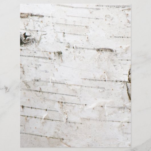 Birch bark (Front)