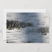 Birch bark 1291 (Front)