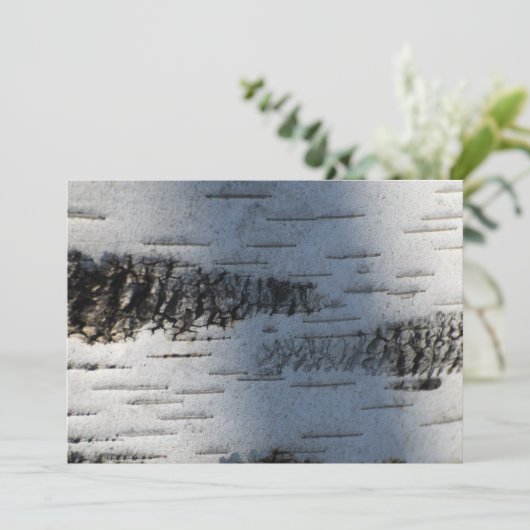 Birch bark 1291 (Standing Front)