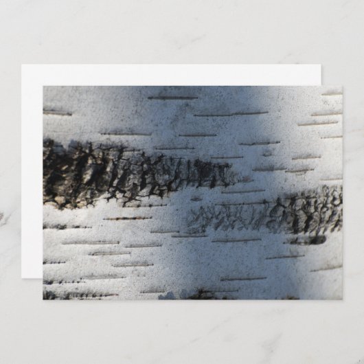 Birch bark 1291 (Front/Back)