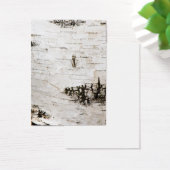 Birch bark 2330 (Desk)