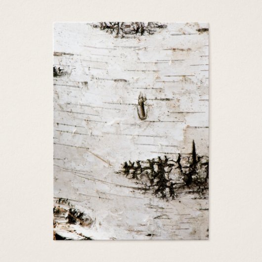 Birch bark 2330 (Front)