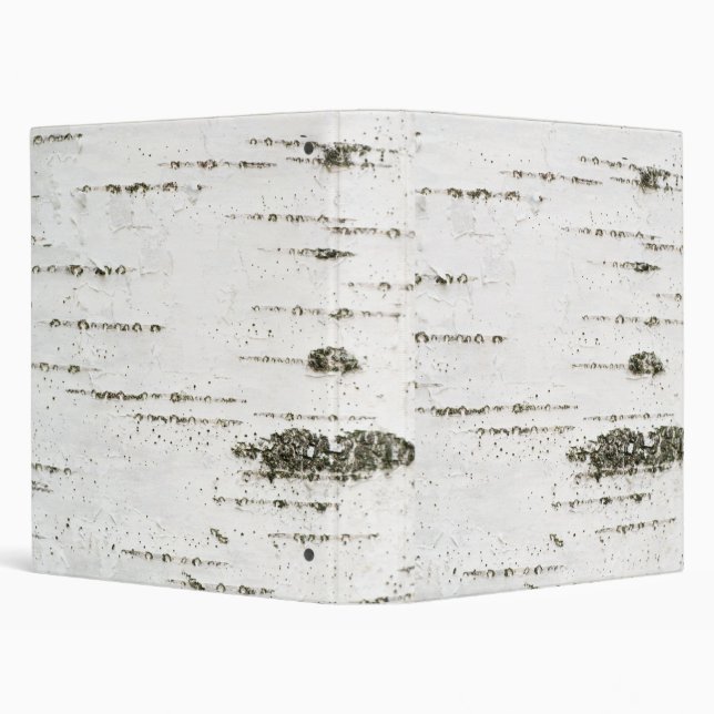 Birch bark binder (Background)