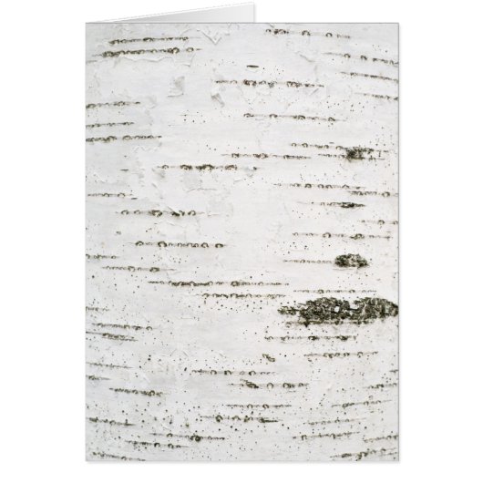 Birch bark cards (Front)