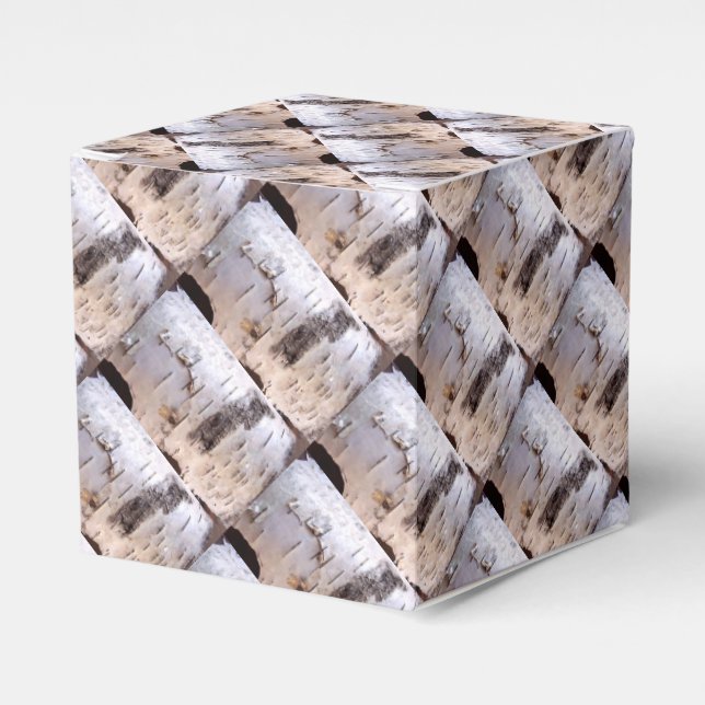 Birch Bark Favor Boxes (Front Side)