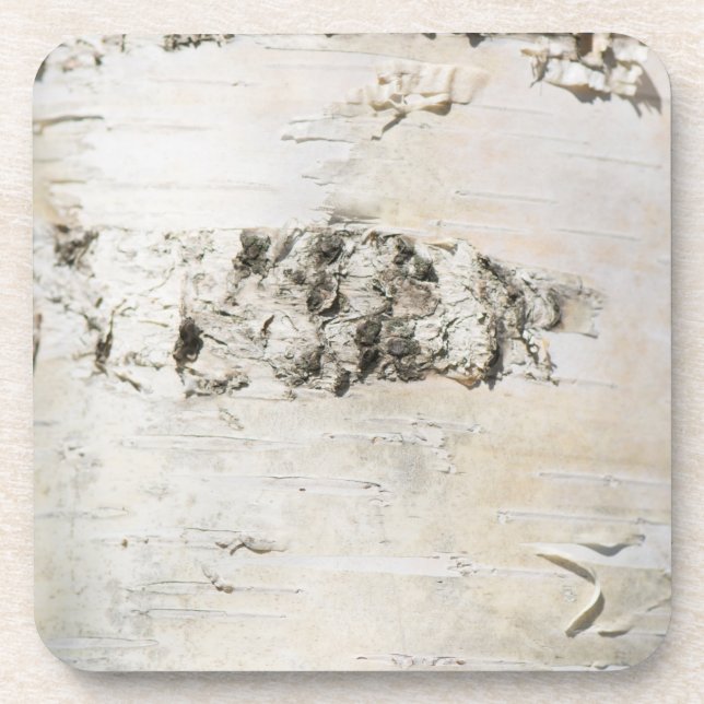 Birch bark pattern beverage coaster (Front)