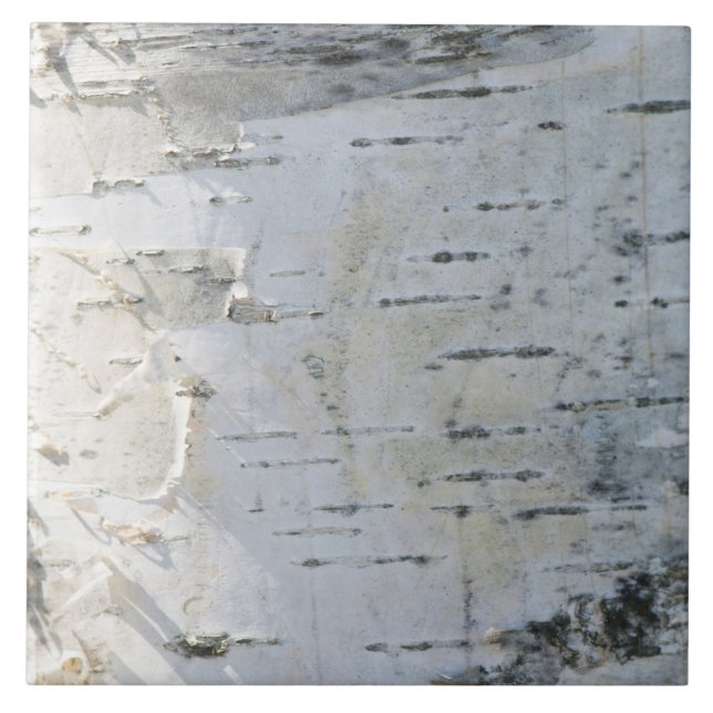 Birch bark pattern ceramic tile (Front)