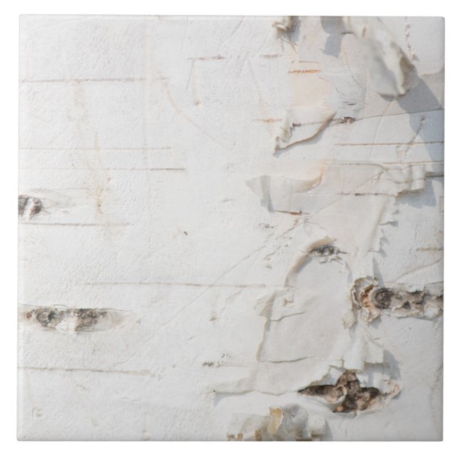 Birch bark pattern ceramic tile (Front)