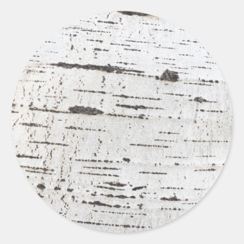 Birch bark pattern classic round sticker