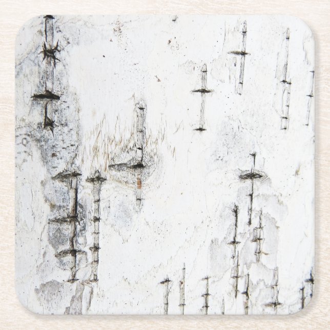 Birch bark pattern coasters (Front)