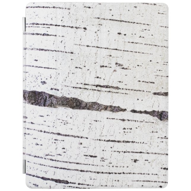 Birch bark pattern iPad smart cover (Front)